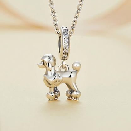 Charm
